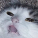 usernoneexistent avatar