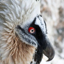 useusedusernames-blog avatar