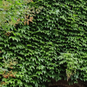 usingusername2 avatar