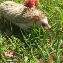 usingyou-noot-blog avatar