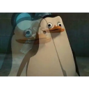 uskglass-mirror-house avatar