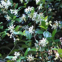 uslessrandomness avatar