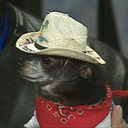 usuallybeardedwonderland avatar