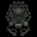 usuallytransparentpeace avatar