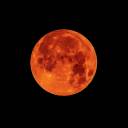 utastelikepepsicolaxx avatar