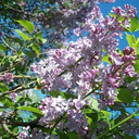 utter-randomness avatar