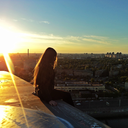 uurban-exploration avatar