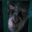 uuuhhhmmmmmmmmidk avatar