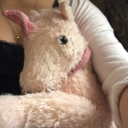 uuunicornchen avatar