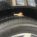 uuuuu----uuuuu-blog avatar