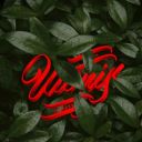 uwaiselmarosy avatar