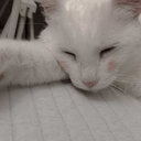 uwustelar-blog avatar