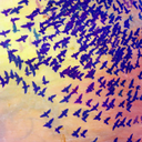 uyduruyduryaz avatar