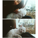 uyumsuzbirblog avatar