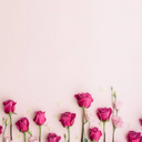 uyumsuzbirkus avatar