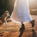 uyurrblerblog avatar