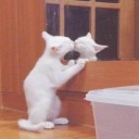 uzaydabirkedy avatar