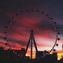 uzaydanefesalamayanuzayli avatar