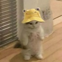 uzayinincisigece avatar