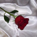 uzaylininsevdicegi avatar