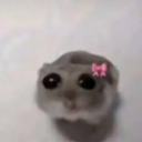 uzgunhamster avatar