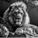 uzumakipistolao avatar