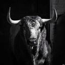 v-e-i-n-t-i-d-o-s avatar