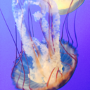 v-enture-blog avatar