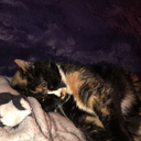 v-i-s-u-a-l-i-z-e avatar