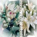 v1ctoriasworld avatar