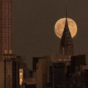 v1ntag3v1nyldaydr3ams avatar