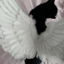 v4lleyofthedolls avatar