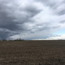 vaalea-pikkumyy avatar