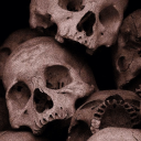 vacant-memories-collective avatar