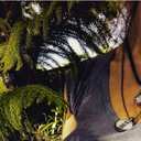 vagabondfeathers avatar