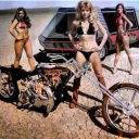 vagabondvoyeur avatar