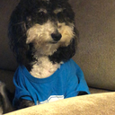 vague-you-out avatar