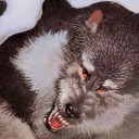 vaguelyeastward avatar