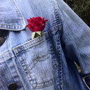 valami-hianyzik avatar