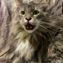 valar-m0rghulis-valar-d0haeris avatar