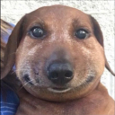 valentineluvr avatar