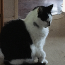 valentinemage avatar