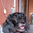 valeraminin2009 avatar