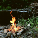 valerialightwood avatar