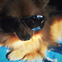 valhallaasb95 avatar