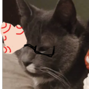 valkyrie-phoenyx avatar