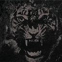 vallejos-black-lines avatar