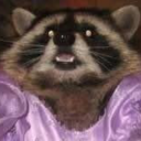 valraccoon avatar