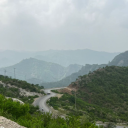 vampirate-lover avatar