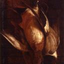 vampire-apostrophe avatar